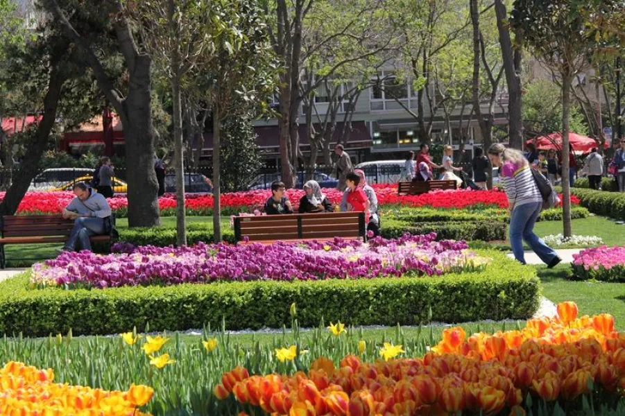 9. Lale Festivali Göztepe 60. Yıl Parkı ve Anadolu Yakası Lale Manzaraları