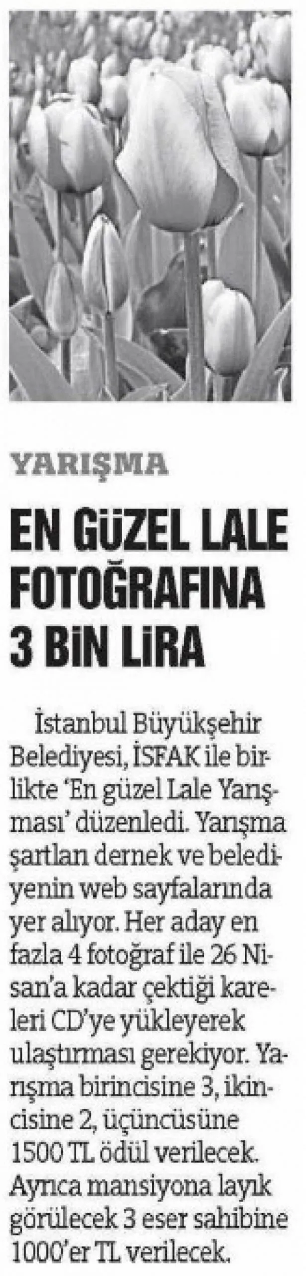 En Güzel Lale Fotoğrafına 3 Bin Lira (Türkiye Gazetesi)