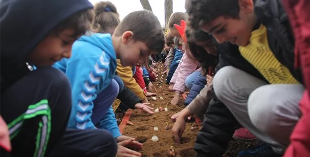 6. LALE KARDEŞLİĞİ BULUŞMALARI DİKİM ETKİNLİKLERİ SONA ERDİ