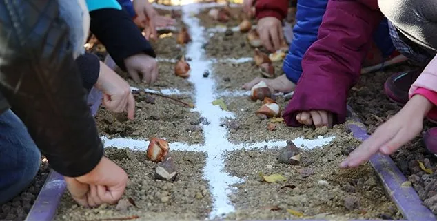 4. GELENEKSEL LALE KARDEŞLİĞİ BULUŞMALARININ ÜÇÜNCÜ GÜNÜNDEYİZ