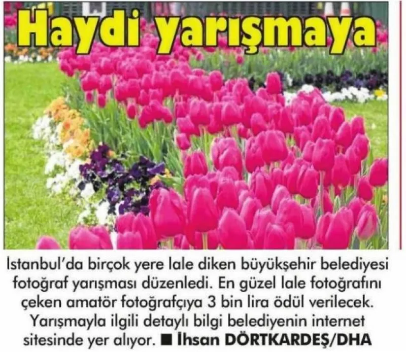 Haydi Yarışmaya (Posta Gazetesi)