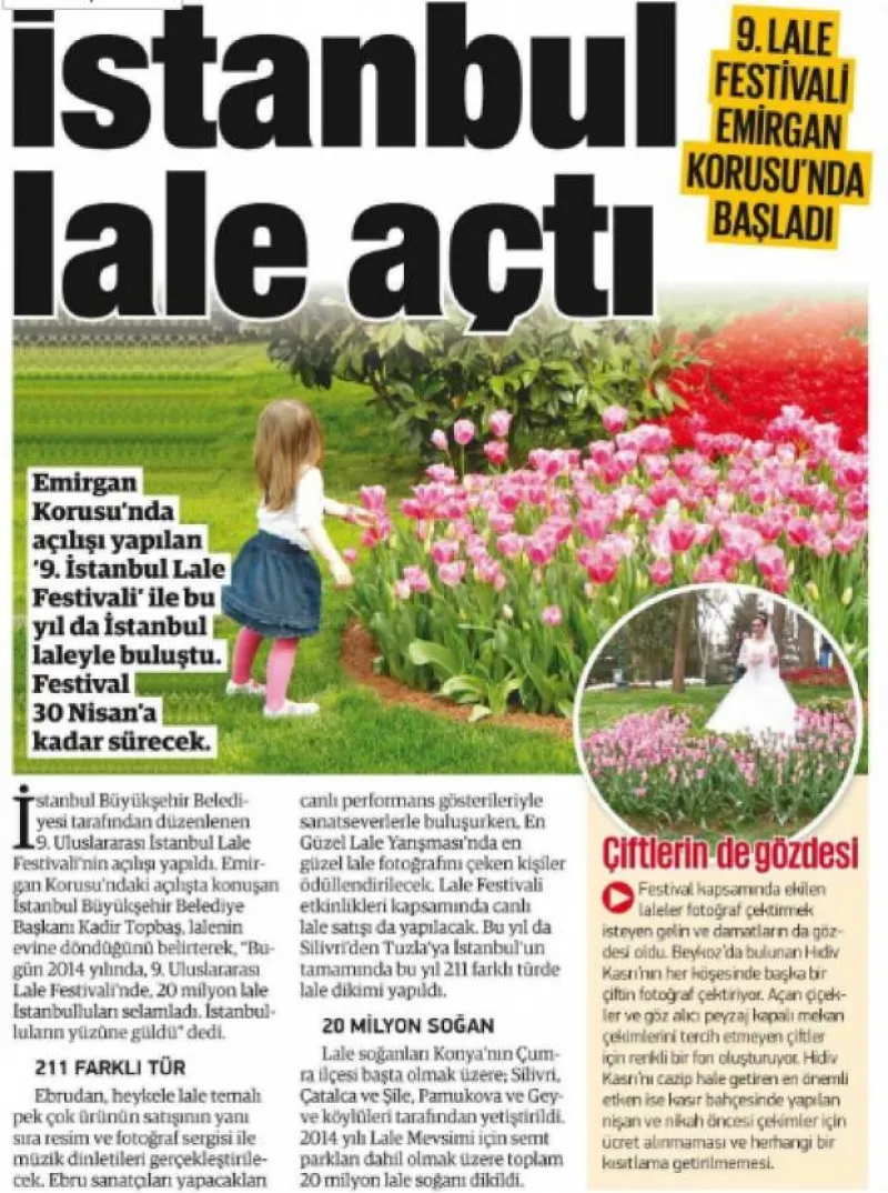 İstanbul Lale Açtı (Yeni Şafak Gazetesi)